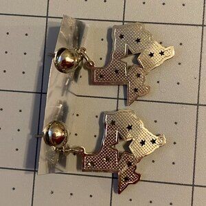 Earrings, Texas shaped